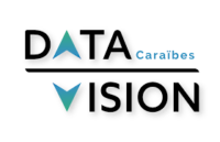 Data Vision Caraïbes